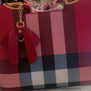 Stylish Pink and Red Checkered Women's Bag